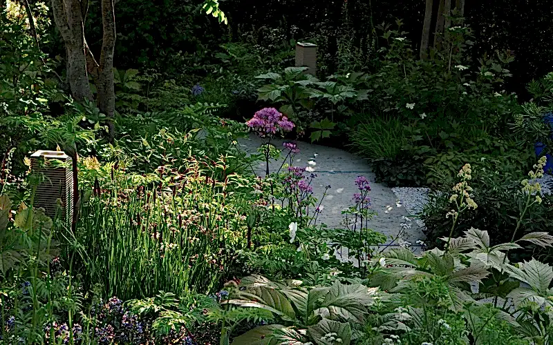 National Brain Appeal (NBA ) - Chelsea Flower Show, 2023