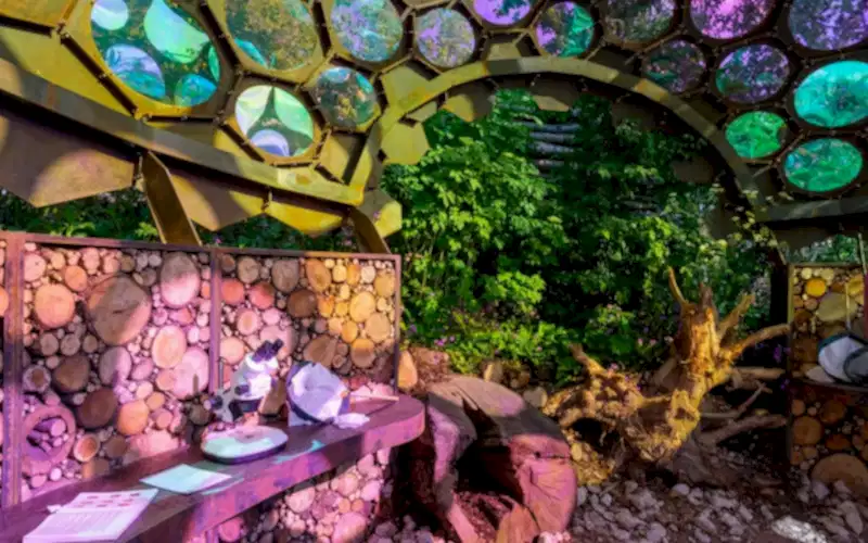 Royal Entomology Society (RES) - RHS Chelsea Flower Show, 2023