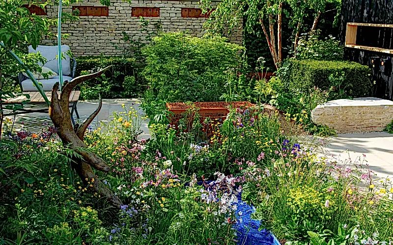 RSPCA Garden - RHS Chelsea Flower Show, 2023