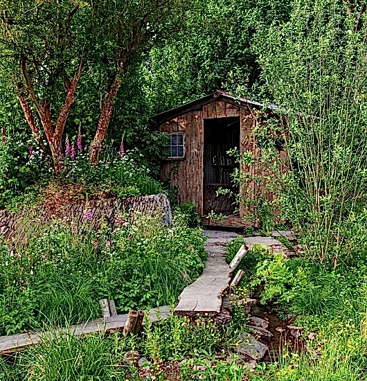 A Rewilding Britain Landscape